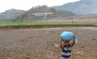 MENCARI RUMPUT DI WADUK GAJAH MUNGKUR