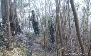 Wacana Perda pelestarian hutan disambut baik