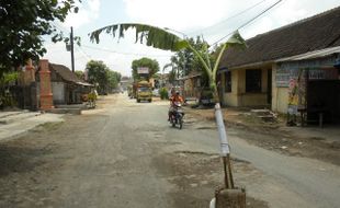 Jengkel, warga tanam pohon pisang di tengah jalan