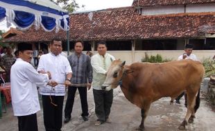 Polres kurban 30 kambing dan 3 sapi