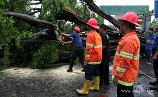 ANGIN KENCANG MELANDA JOGJA