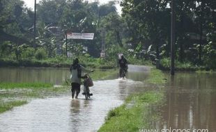 Curah hujan tinggi, puluhan hektare sawah di WKO rusak