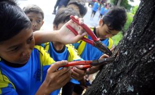 Rayakan Hari Merawat Pohon, puluhan siswa SD cabuti paku