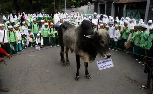 AJAKAN BERKURBAN