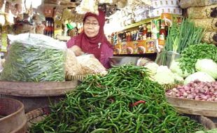 HARGA CABAI TINGGI : Petani Untung, Saatnya Mengembalikan Modal dan Bayar Utang