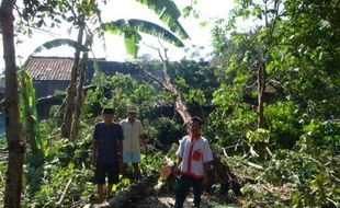 4 Kecamatan di Klaten diterjang puting beliung