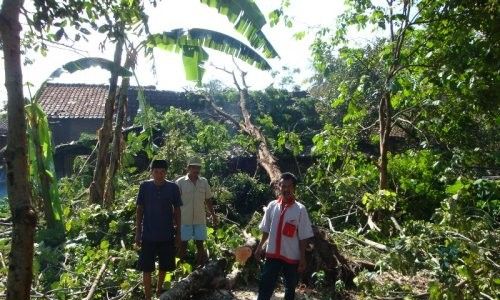 4 Kecamatan di Klaten diterjang puting beliung