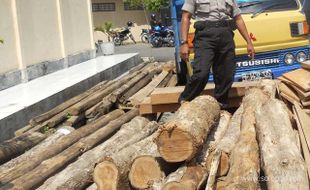   POLRES GROBOGAN AMANKAN SERATUSAN BATANG KAYU JATI