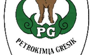   Petrokimia Gresik gelar sosialisasi di Kerjo