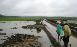 Proyek drainase di Sentolo diprotes petani