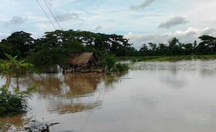 Kawasan Plupuh dan Tanon Banjir, Ribuan Hektare Sawah terendam