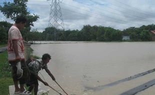 Tergenang Banjir, 80 Hektare Sawah Terancam Rusak