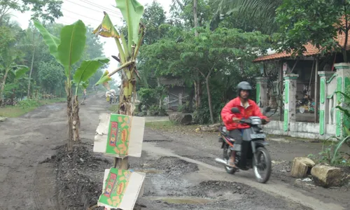 JALAN RUSAK: Warga Tanami Pohon Pisang