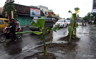 PROTES JALAN RUSAK : Warga Tanam Pohon Pisang dan Sebar Lele di Jalan 