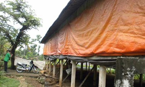 Bingung Sembunyikan Uang Hasil Curian, 2 Warga Sleman Ini Gali Kandang Kambing