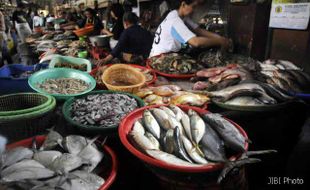 Pantai Depok Bergantung Ikan dari Luar