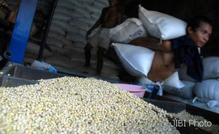 Harga Kedelai Naik Rp500/kg 