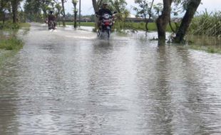  BENGAWAN SOLO MELUAP: Jalan Raya Masaran-Plupuh Lumpuh 8 Jam