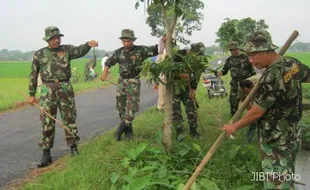 Bantu Petani, Tentara Kodim Sukoharjo Berantas Tikus