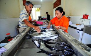 IKAN LAUT