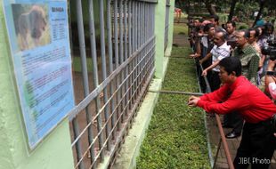 SINGA TSTJ MATI : DPRD Solo: Direksi TSTJ Harus Bertanggung Jawab