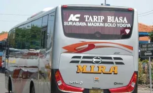 KECELAKAAN BUS: Hindari Truk, Bus Mira Seruduk Pohon, 4 Tewas