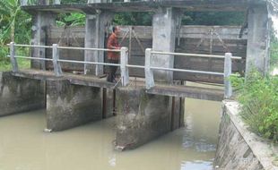 BANJIR: Puluhan Hektare Sawah Tergenang, Petani Minta Teteg Cendini Dievaluasi