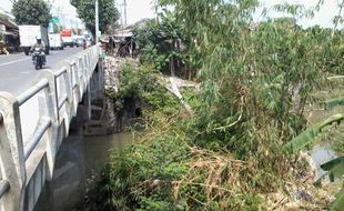 ANCAMAN BANJIR: Rumpun Bambu Longsor Tutup Sungai, Warga Khawatir Banjir