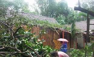 Angin Mengamuk di Lereng Merapi