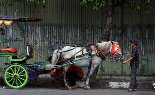 ANDONG TERDESAK