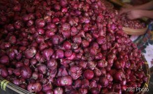 HARGA KOMODITAS : Harga Bawang Merah Turun, Daging Stabil Tinggi