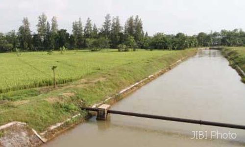 PERTANIAN SUKOHARJO : Protes Pembagian Suplai Air, Petani Datangi Kantor UPTD PU Bendosari