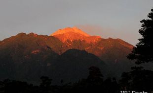 PUNCAK MERAPI Banyak Rekahan, Asap Sulfatara Penuh 