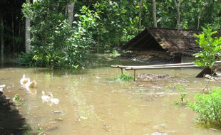 RUMAH TERENDAM