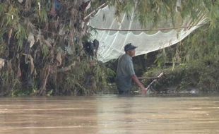 MENCARI IKAN DI BENGAWAN SOLO