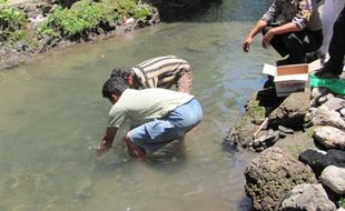 BAYI DIBUANG: Walah! Mayat Bayi Ditemukan Terjepit Batu di Sungai