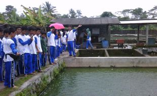 Siswa SMA N 3 Jogja Belajar Perikanan di Bokesan