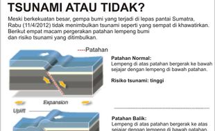 Kawasan-Kawasan Pantai Ini Berpotensi Dilanda Tsunami Tahun Ini