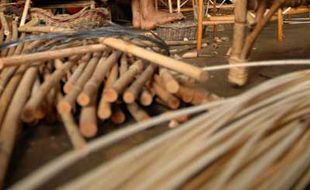 ROTAN: Jamin Ketersediaan Bahan Baku dan Peningkatan Pemanfaatan, Rantai Distribusi Perlu Dipangkas