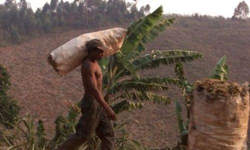 TES DNA Ungkap Orang Indonesia dan Madagaskar Bersaudara