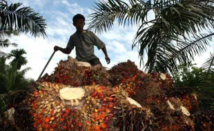 TRANSMIGRASI: Warga Dusun Ngledok Akan Disertakan Program Produktif