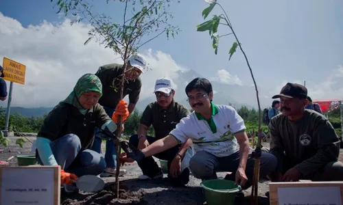 REBOISASI KAWASAN MERAPI