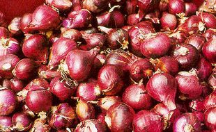 Harga Bawang Merah Melejit, Tertinggi Dalam 3 Tahun