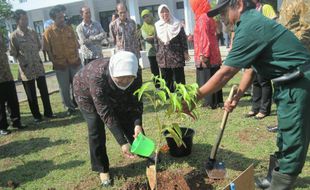 PENGHIJAUAN RSUD WONOSARI