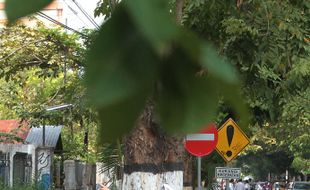 Jalan Cornelis Simanjuntak Uji Petik Satu Arah