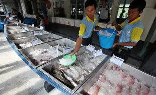 Sempat Mati Suri, Pasar Ikan Balekambang Solo Hidup Lagi