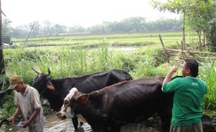 Ada Pasar Kuliner di Mangunan