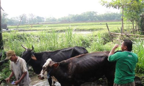 Ada Pasar Kuliner di Mangunan