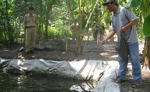 Lebih Irit, Pembudi Daya Ikan Disarankan Bikin Pakan Sendiri