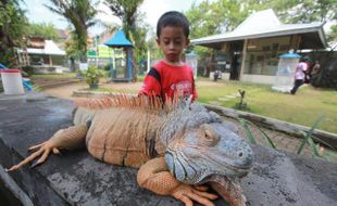 TAMAN REPTIL BALEKAMBANG: Dewan Desak Pemkot Tuntaskan MoU